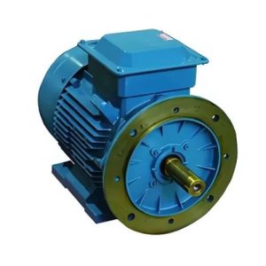 IE2 MOTORS