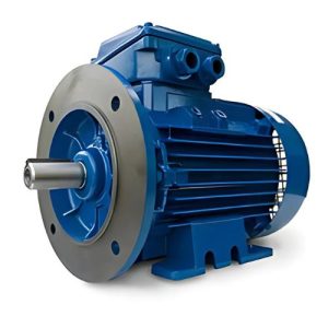 IE1 MOTORS